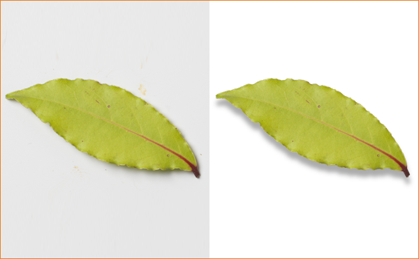 Make Career as Clipping Path Provider