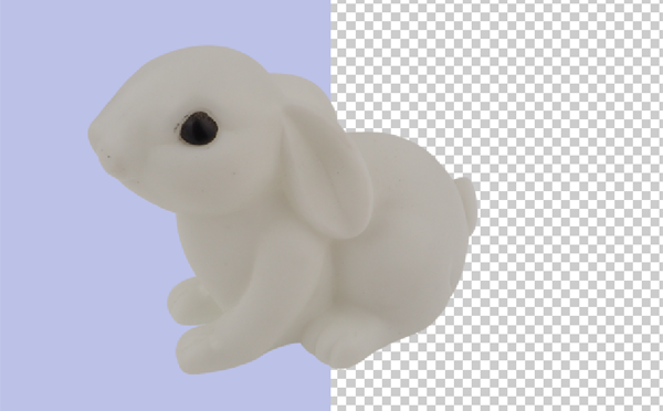 Photo Clipping Path Cheap in Bangladesh